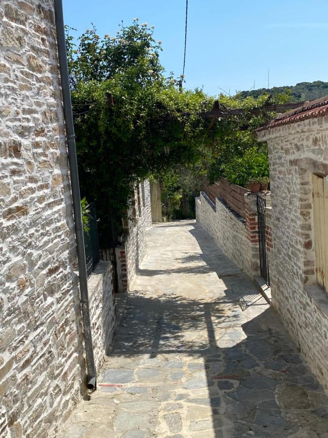 Xinovrissi Studios Ξινόβρυση Εξωτερικό φωτογραφία